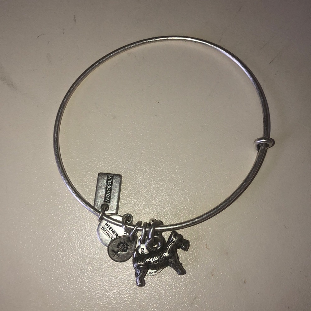 Alex and Ani Monopoly Dog Bracelet